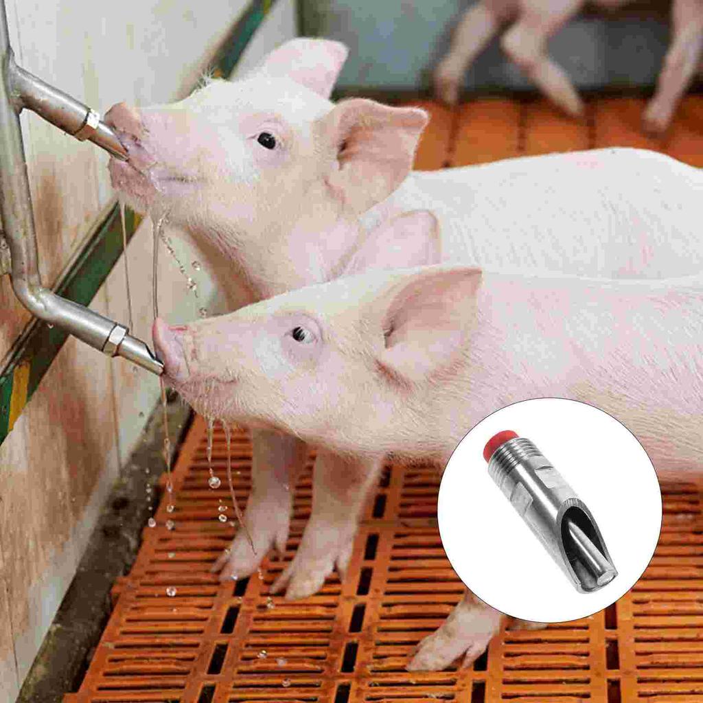 10 Pcs Pig Waterer Feeder Livestock Metal Feeding Too Piglets 304 Stainless Steel Supplies Chicken