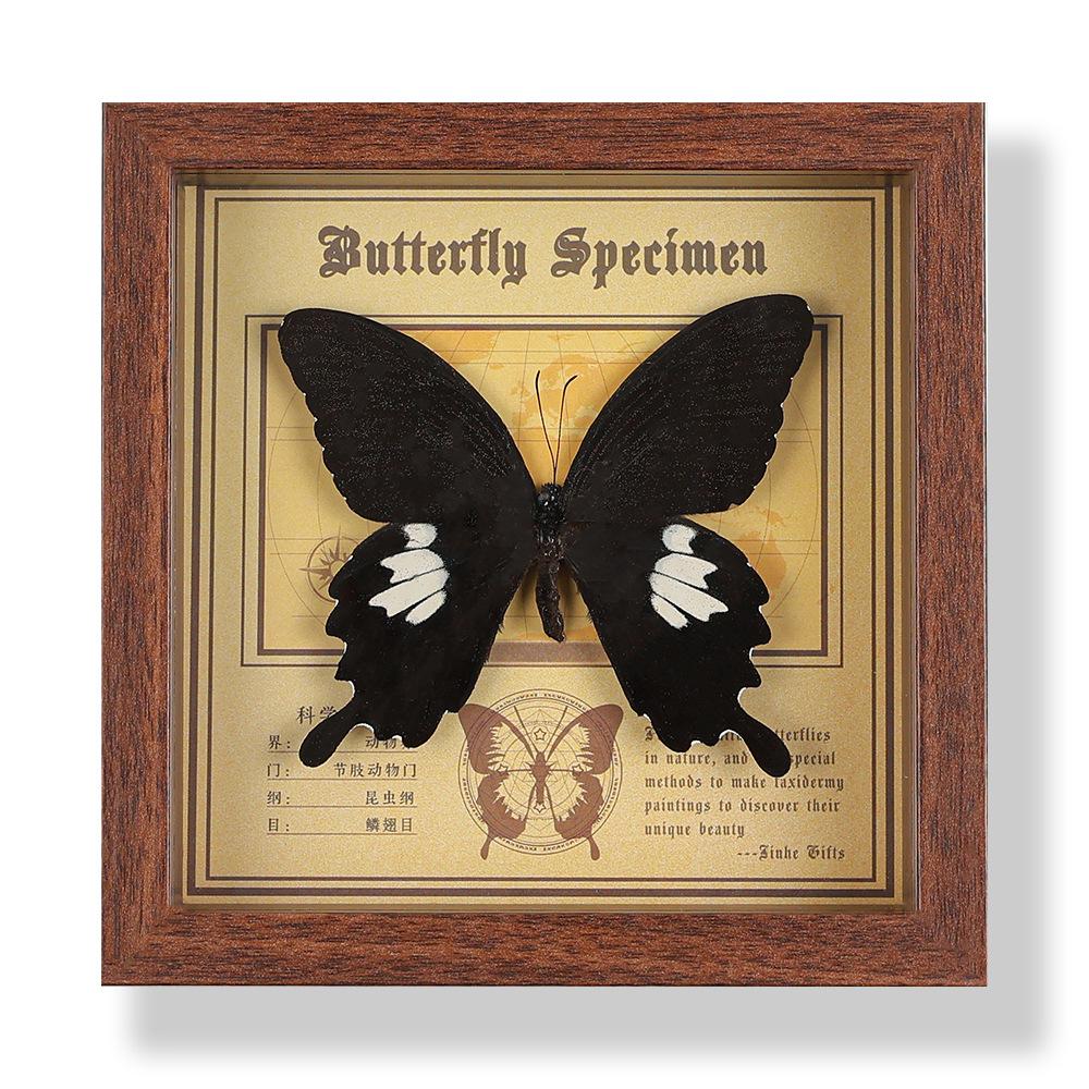 Real butterfly specimen photo frame, decorative painting, 3D ornament, handmade DIY, birthday gift, insect specimen