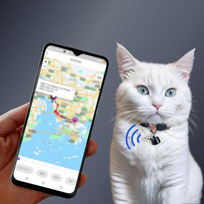Psi – Obojky a vodítka pro psy