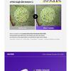 Isntree - Onion Newpair Booster Shot 2000