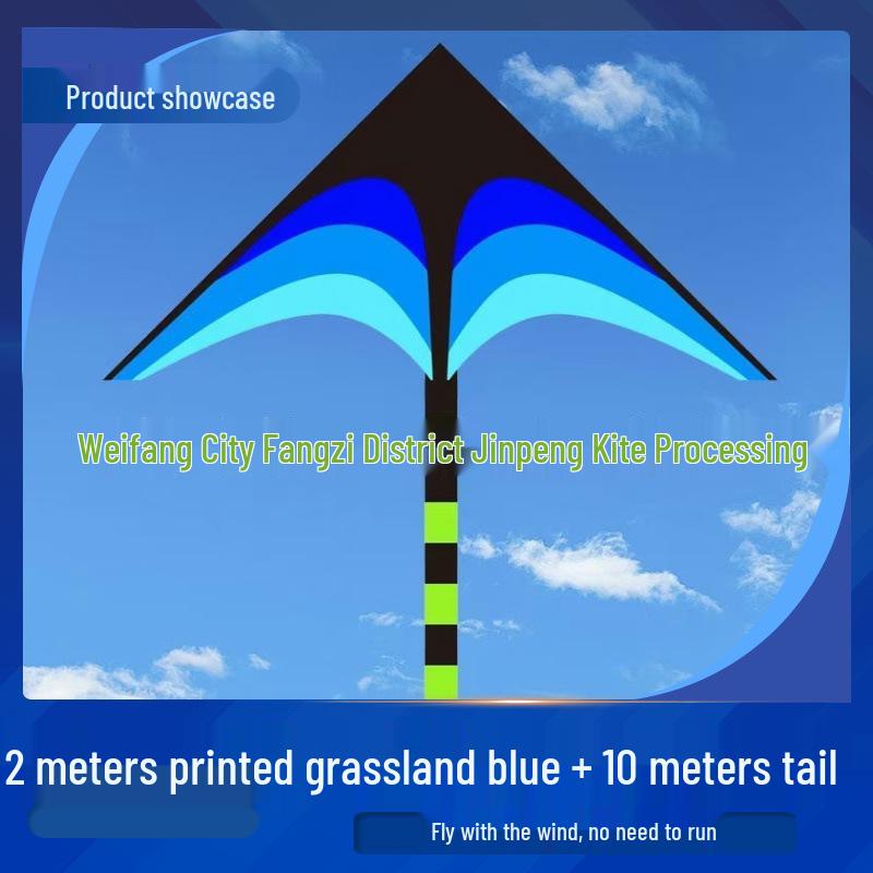 Great Plains Extra Large Rainbow Kite for Kids - Excellent Flying Cartoon Design