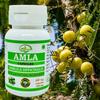 Morsan Nutraveda Amla (Emblica Officinalis) Capsules - 60 Veg. Capsule X 500 Mg. | Rich In Vitamin C for Immunity, Skin (1 Pack of 60 Capsules)
