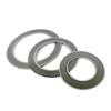 Graphite Composite Gasket