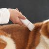 Dog Clippers Grooming Kit 4-in-1 Hair Clipper-Low Noise Paw Trimmer- Rechargeable - Cordless Quiet Nail Grinder Shaver for Cats