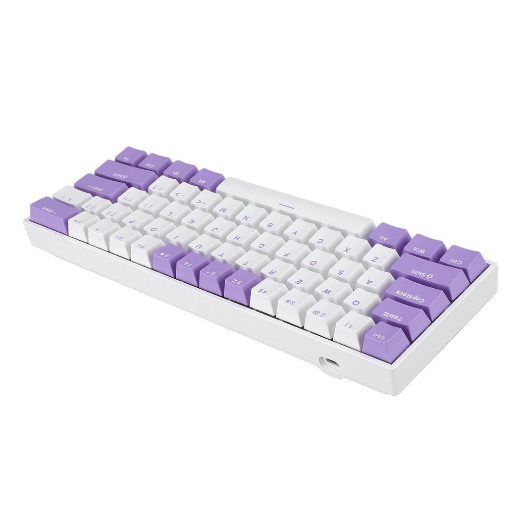 61 Keys 60% Mechanical Keyboard USB C Wired RGB Lighting Backlit Red Switch Gaming Keyboard for PC L
