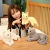 1pc 30cm Kawaii Simulation Cat Plush Toys Cute Hairy Kitten Dolls Stuffed Soft for Children Girls Birthday Room Decor Gift