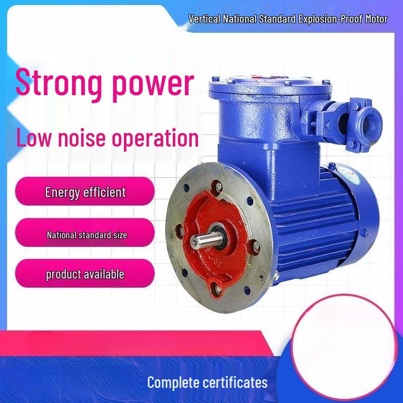 Vertical Explosion-Proof Electric Motor