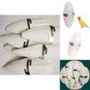 Pet Bird Chewing Treats With Odorless Calcified Cuttlefish Bone For Parrots And Small Birds
