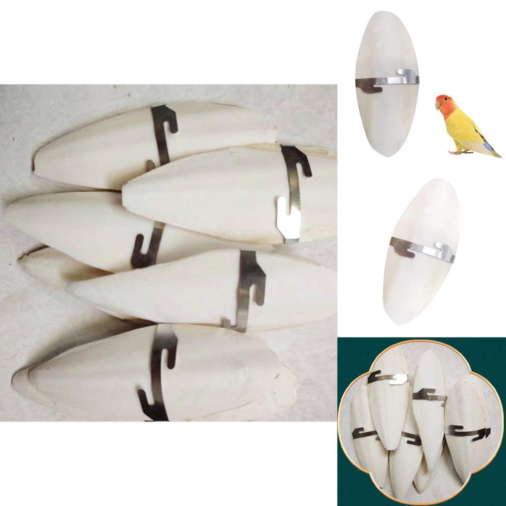 Pet Bird Chewing Treats With Odorless Calcified Cuttlefish Bone For Parrots And Small Birds