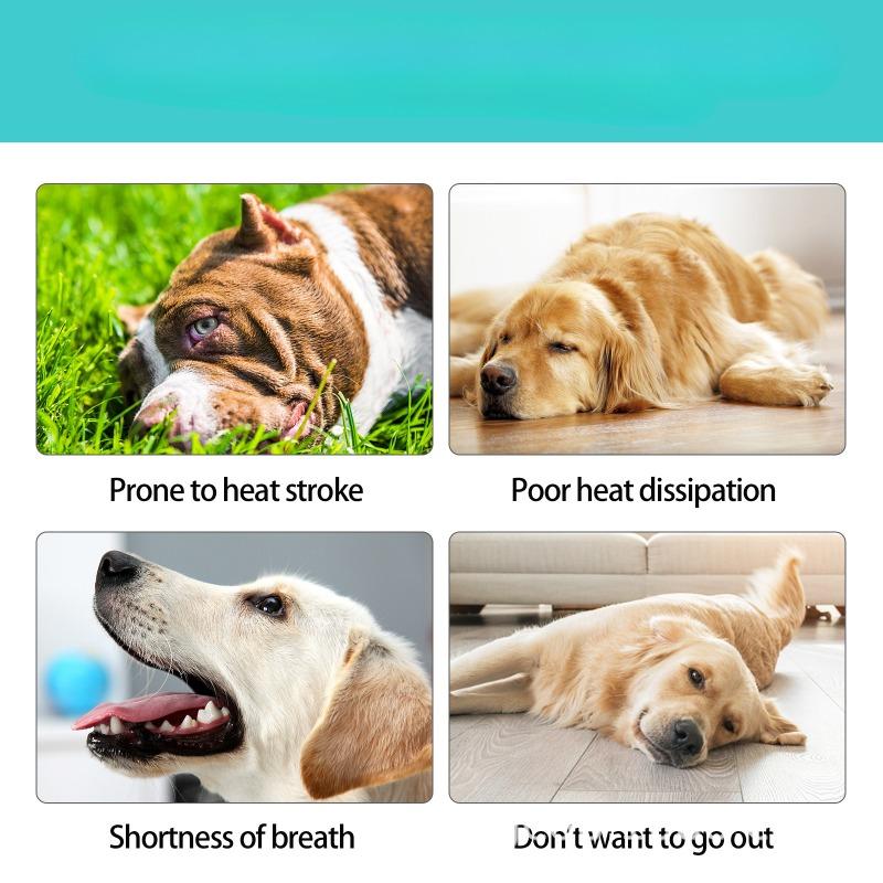 Letní psí oblečení, tenké vesty pro mazlíčky, chladivé oblečení, ochrana proti horku, chladivé a prodyšné pro malé a středně velké psy