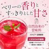 than 60 types of plant fermented Organland Fascinating Enzyme Drink 100g Powder Smoothie [More enzymes] Additive-free
