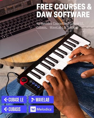 Donner MIDI Keyboard, 25 Keys, USB Controller, Mini Keyboard, Compact, Velocity Sensitive, Music Production, Japanese Instruction Manual, Black N-25