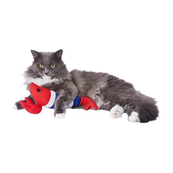 Petio Cat Toy Easy Dental TOY Kigurumi Shrimp Хорошо чистит зубы