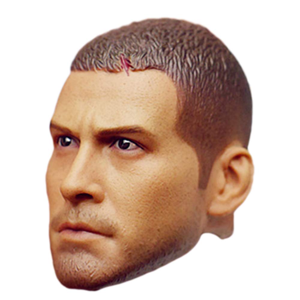 HiPlay 1/6 Scale Male Doll Head DH011 Handsome Painted Head Compatible with TBLeague Body E