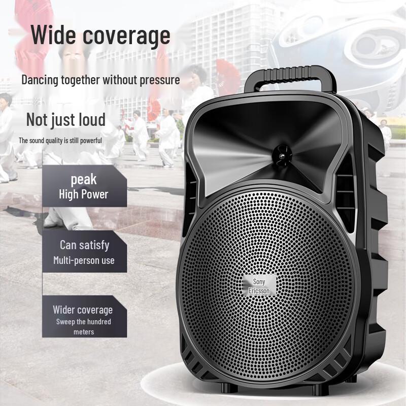 

Soaiy X11 Portable Outdoor Karaoke Speaker with Dual Microphones CN plug (adapter included)