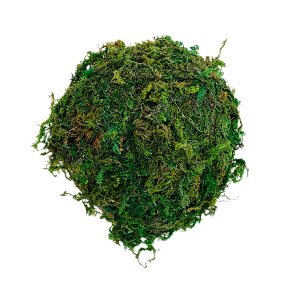 

Домик-укрытие для рептилий Террариум Танк Укрытие для хомяка Платформа для баскинга черепахи Среда обитания черепахи Пещера Геккон Кокос Ящерица ферма 14X8X7.5CM зелёный