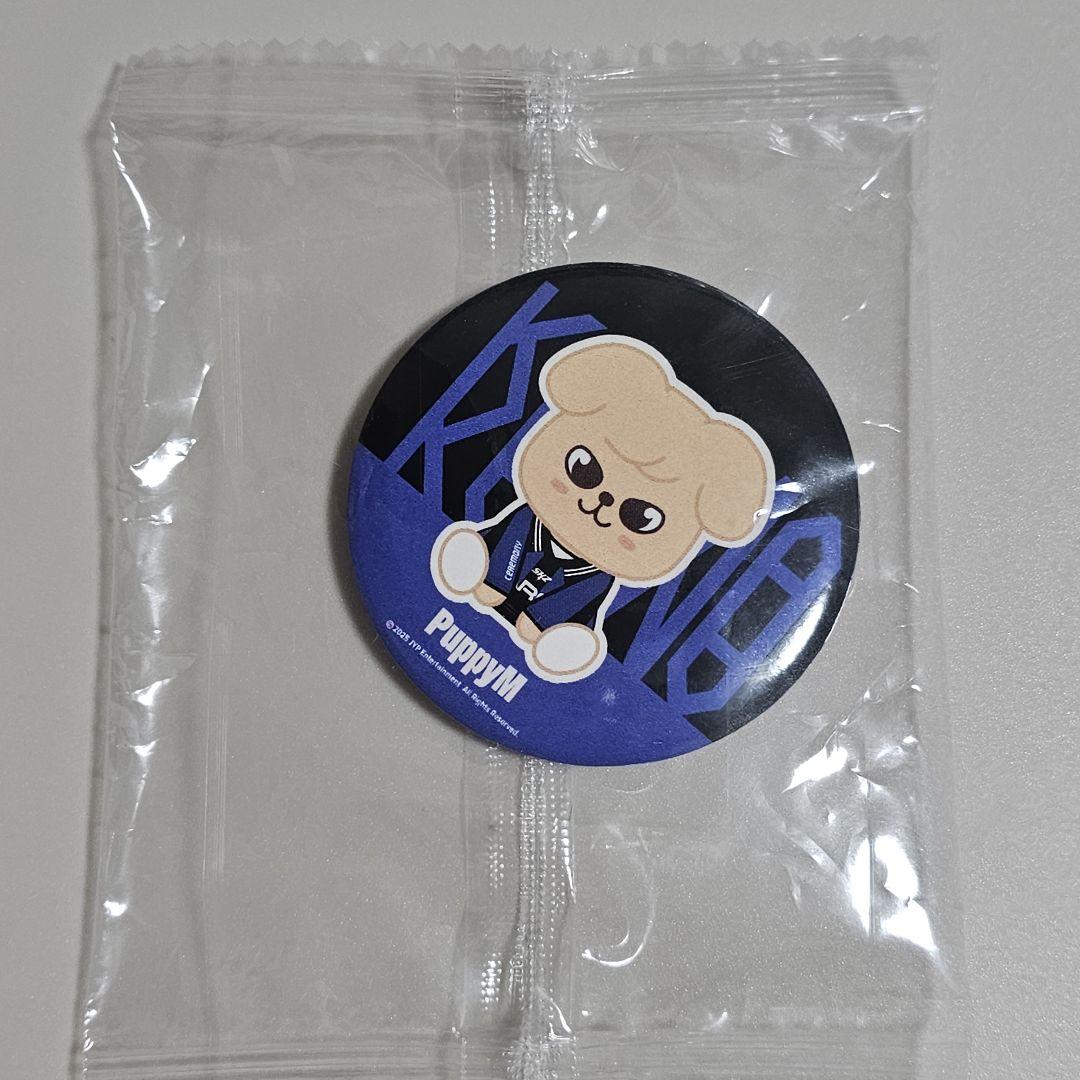 

[USED] Price Reduced Stray Kids KARMA POPUP PuppyM
