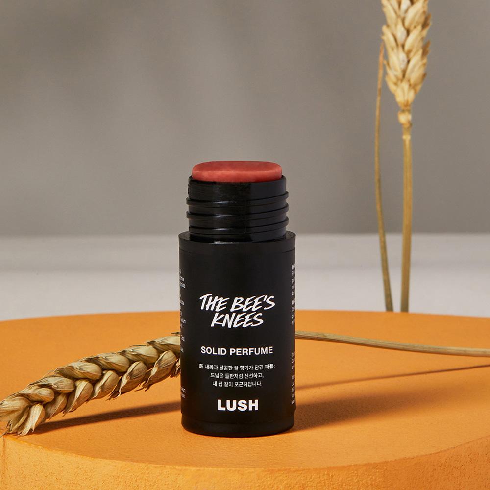 Lush Die Bedürfnisse des Käfers Solide 11g