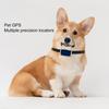 Perros – Collares y correas