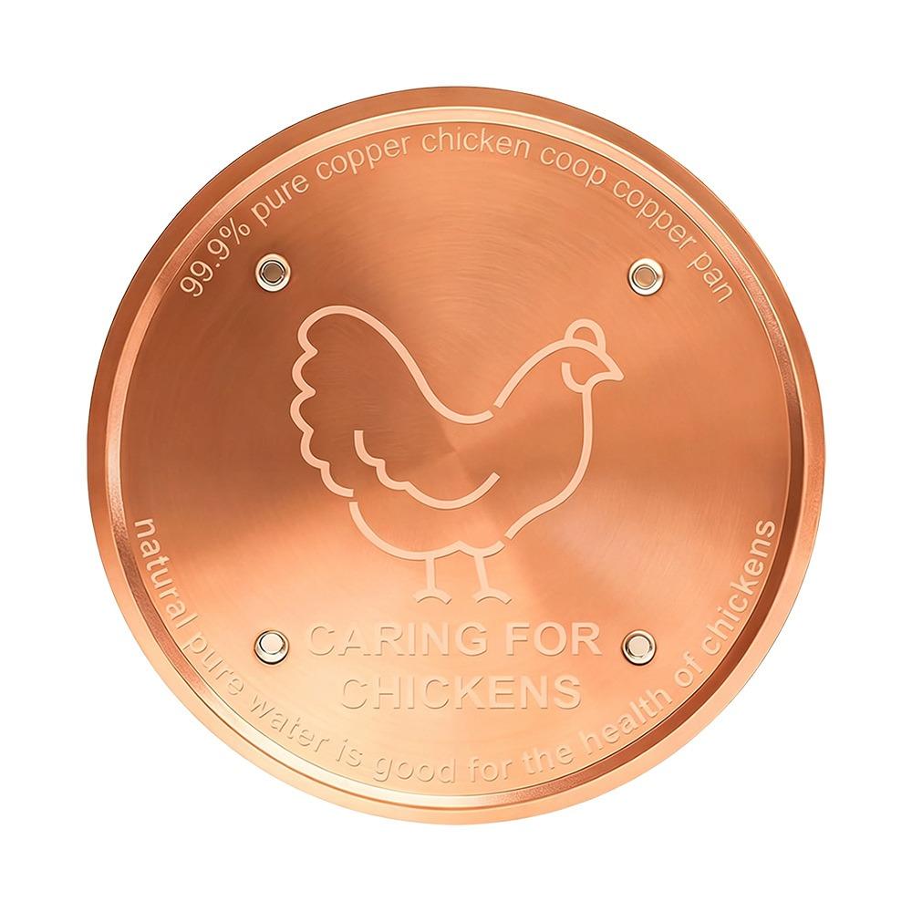 10cm Bird Bath Disk Round Cleaning Plate Bird Bath Water Fountain  for Garden Patio Lawn Fountain