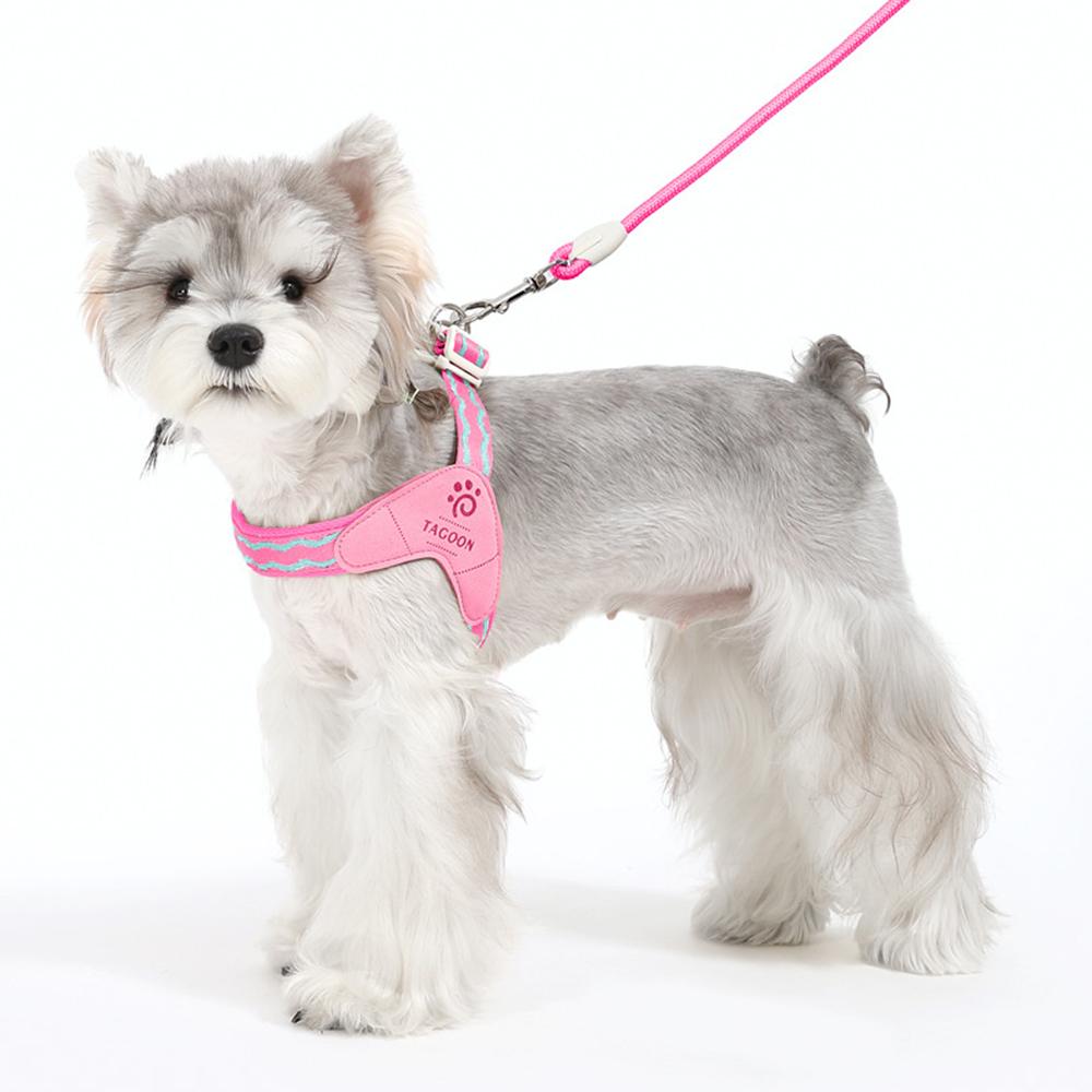 Fashion Puppy Dog Saddle Harness for Small Dogs Light Padded Pet Harnesses and Leash Set Chihuahua Poodle Mascotas Accessories