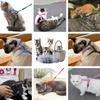 New Pet Cat Dog Car Seat Belt Adjustable Pet Seat Vehicle Dog Harness Lead Clip Safety Lever Traction Collars