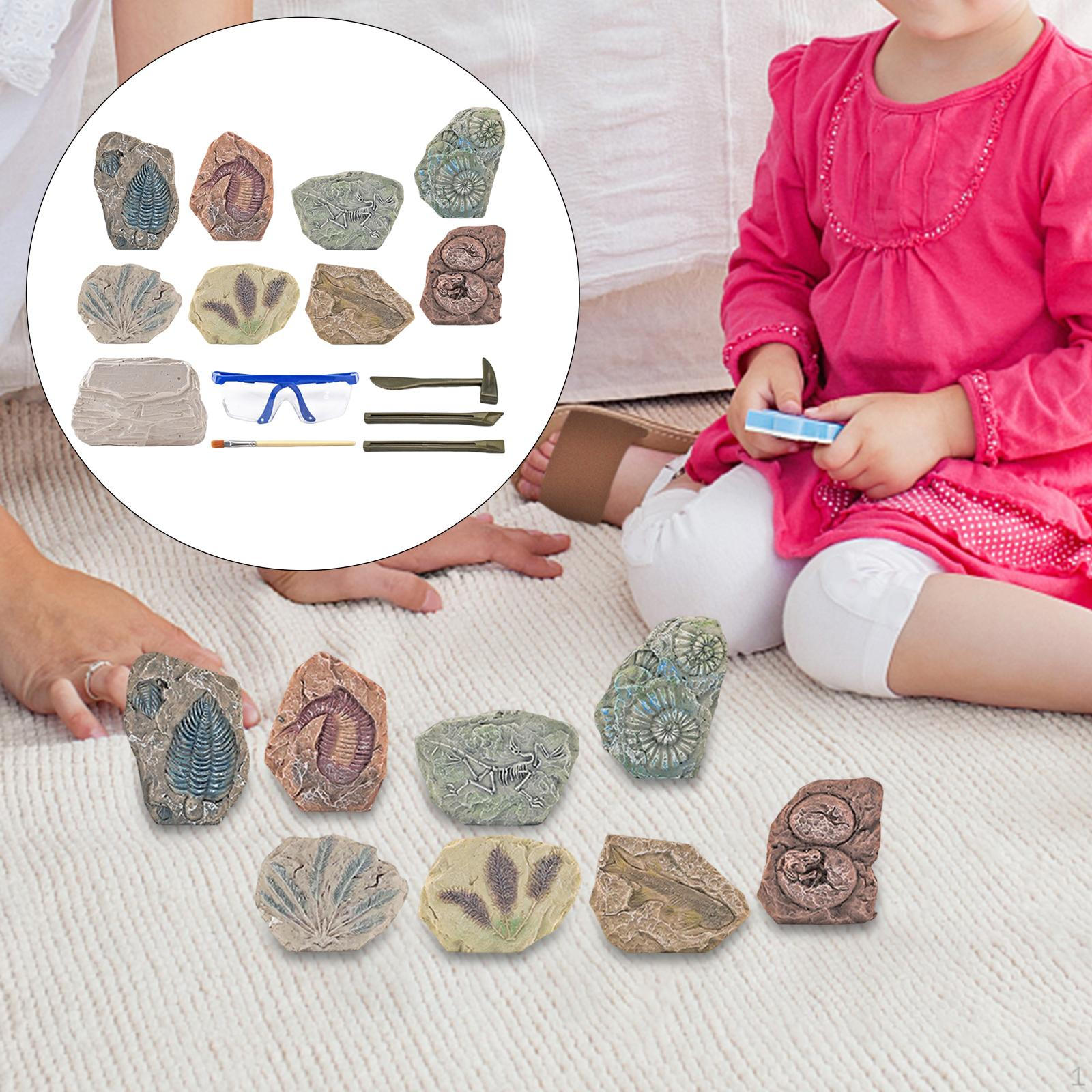 Детский набор для раскопок Модель скелета динозавра Череп животного для мальчиков и девочек Paleontology