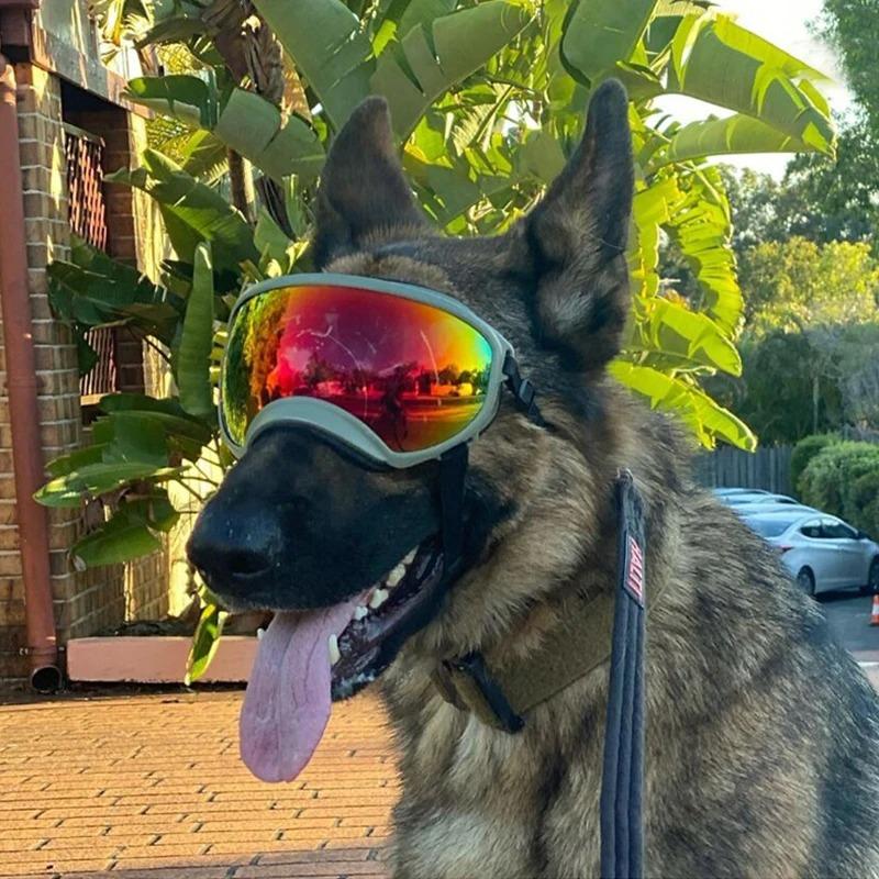 Köpek Gözlükleri UV Korumalı Güneş Gözlükleri Gözlük Koruyucu Ayarlanabilir Rüzgar Geçirmez Evcil Hayvan Köpek Malzemeleri Seyahat İçin