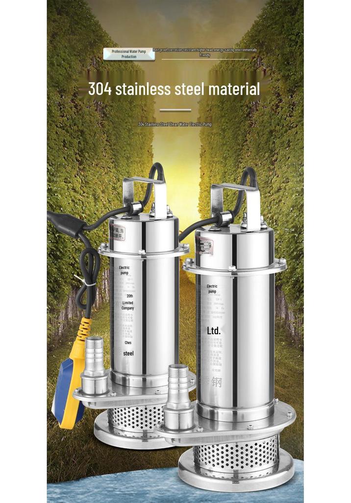 Stainless Steel 220V Submersible Clean Water Pump with Float Switch, 1" High Head, QDX 304.