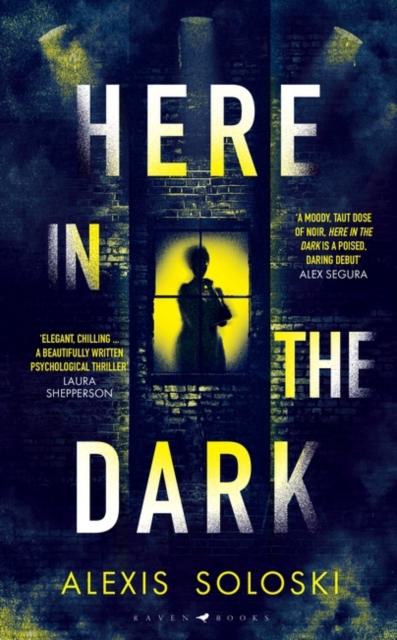 The Here In the Dark Book