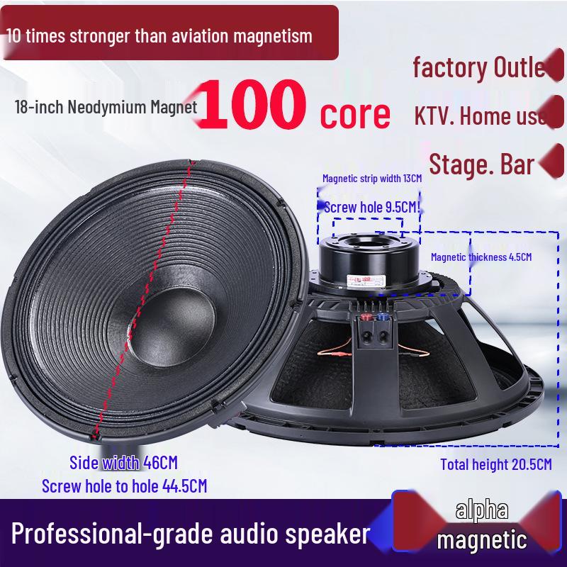 6.5-21 inch High-Power Mid-Bass Pro Stage Speaker with Neodymium Magnet