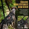 1PCS Outdoor Dog Vest Dogs Harness Tactical Train Coat Medium Large Dogs Vests Chest Strap Bungee Leash Lead Training Running