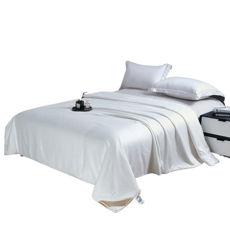 

BAIWEISI Light Luxury Quilt