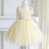 Summer Baby Girls Party Dress Kids Bow Fluffy Tutu Gown Flower Girls Blue Dresses Wedding