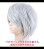 CaseEden Cosplay Wig, Premium Short Hair, 30cm, Heat-Resistant, Silver, WIG6041