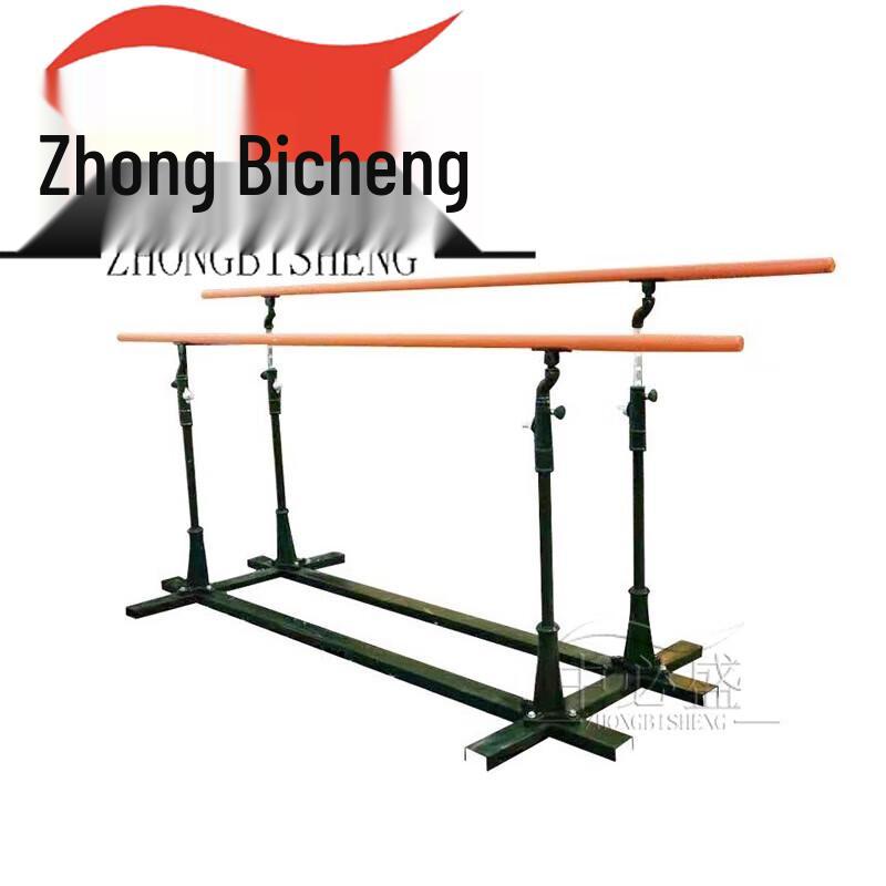 Zhongbisheng Outdoor Adjustable Calisthenics Station