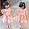 Girls Summer Chiffon Floral Dress Short Sleeve Korean Princess Dress for Toddlers