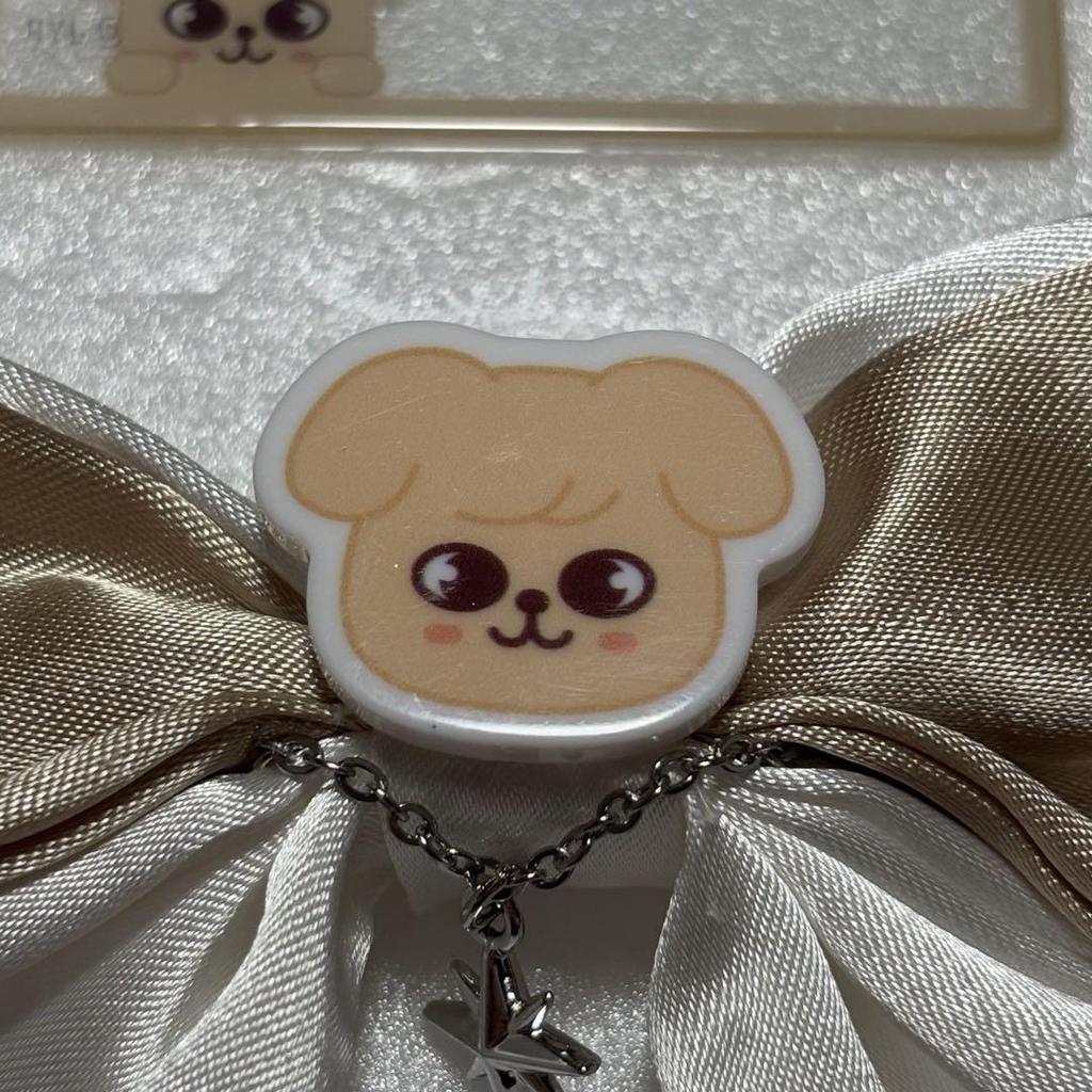 [USED] Stray Kids PuppxM Seungmin Ribbon Strap Seoul Concert