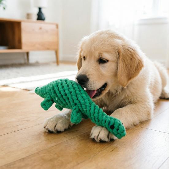 Dog Cotton Rope Toy Cute Dinosaur Shaped Dog Chew Toy for Aggressive Chewers Interactive Pet Training Toy for Small Medium Dogs