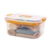 BNBS Portable Waterproof Beach Storage Box: Clear, Handheld Organizer for Outdoor Swimming Supplies