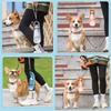 Foldable Dog Water Dispenser Pet Drinking Bottle Outdoor Travel Water Bottle Large Capacity Dog Hiking Camping Water Cup