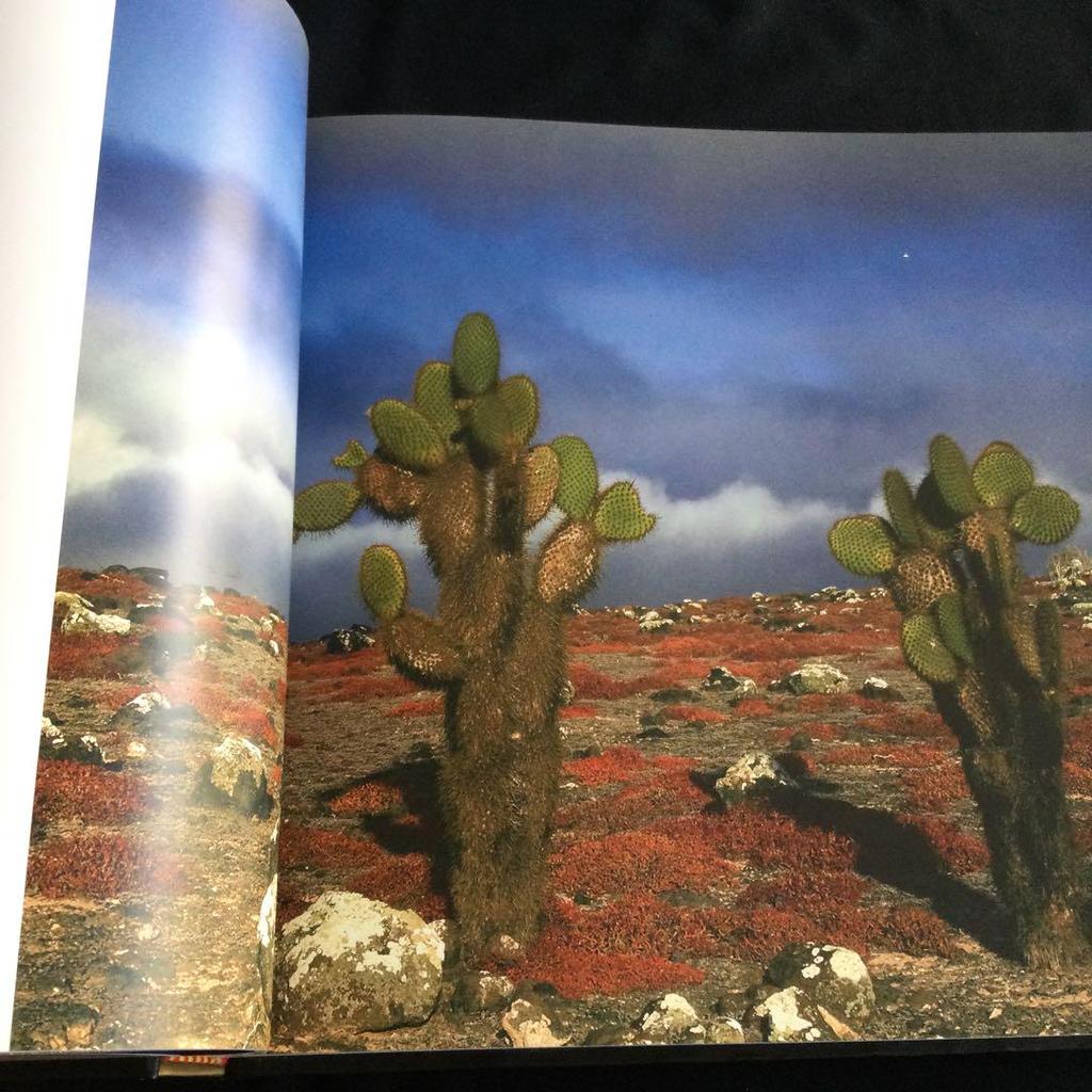 [USED] Galapagos Islands Photo Collection Nature South America Animals Foreign Books English Ecuador Ocean Volcano Book