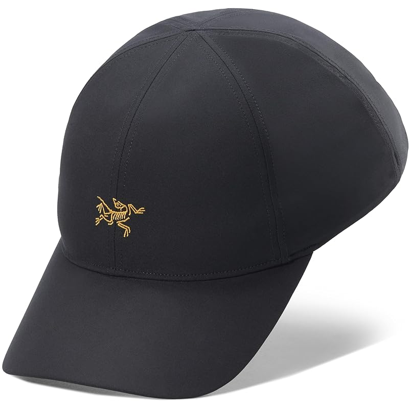 

Arc teryx small bird cap - redesign | 24K black L XL