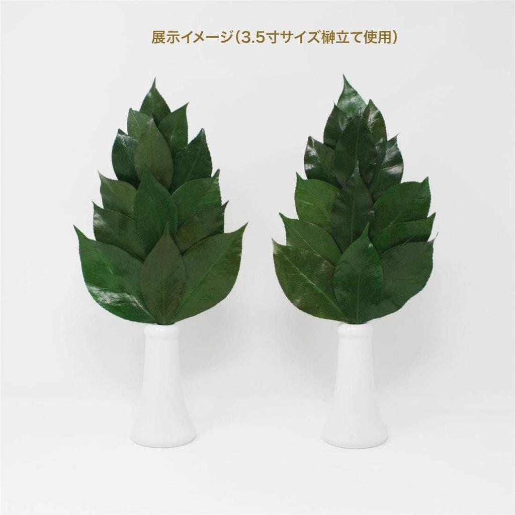 A&K Sakaki Preserved Flowers (MediumPair) - Never Wither, Not Artificial, No Watering Required, Made In Japan, Tanba, Shinto Altar Decoration,