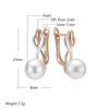 Fashion Geometry Pearl Drop Earrings For Women  Rose Gold  Color Mix Natural Zircon Boho Ethnic Wedding Jewelry