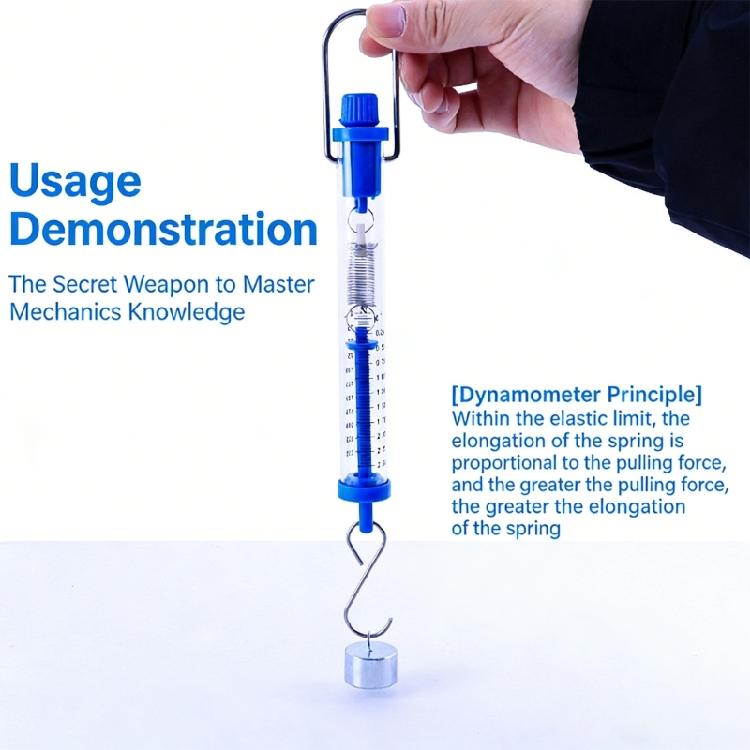 Professional Laboratory Dynamometer 1N 2.5N 5N 10N 20N 30N With Suspension Hook For Schools Scientific Physics Teaching