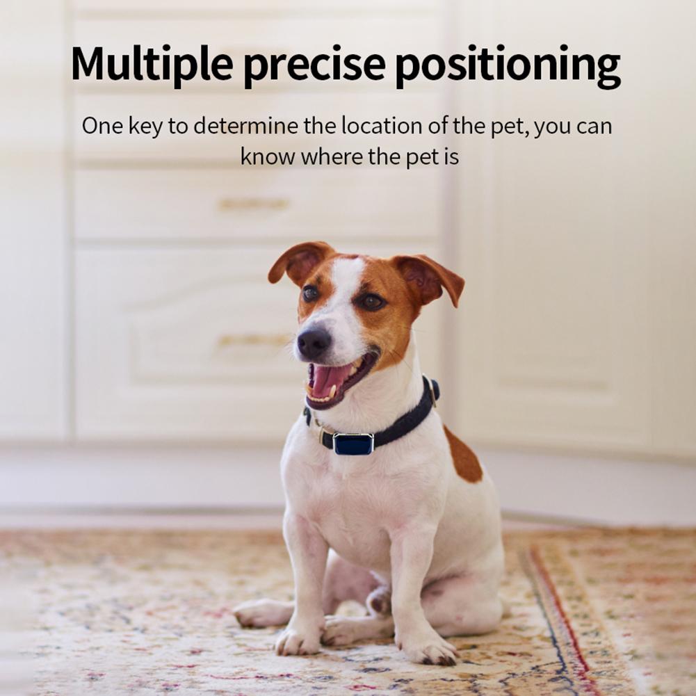 G12 GPS Location Tracker Wearable Smart Collar Pet Tracking Locator Waterproof IP67 Anti-lost Record Multifunctional for Cat Dog