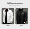 Men's Winter Thick Stand Collar Down Jacket - Trendy, High-End, Rogue Chic, Warm Bread Jacket Casual Outerwear