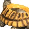 Turtle Planter Cute Animal Decor Plant Pot Garden Planter for Flowers Succulents Cactus Indoor Home Office Bedroom Living Room
