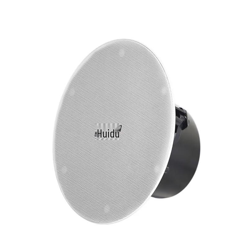 HuiDu RS-712 Professional Conference Ceiling Speaker CN plug (adapter included)